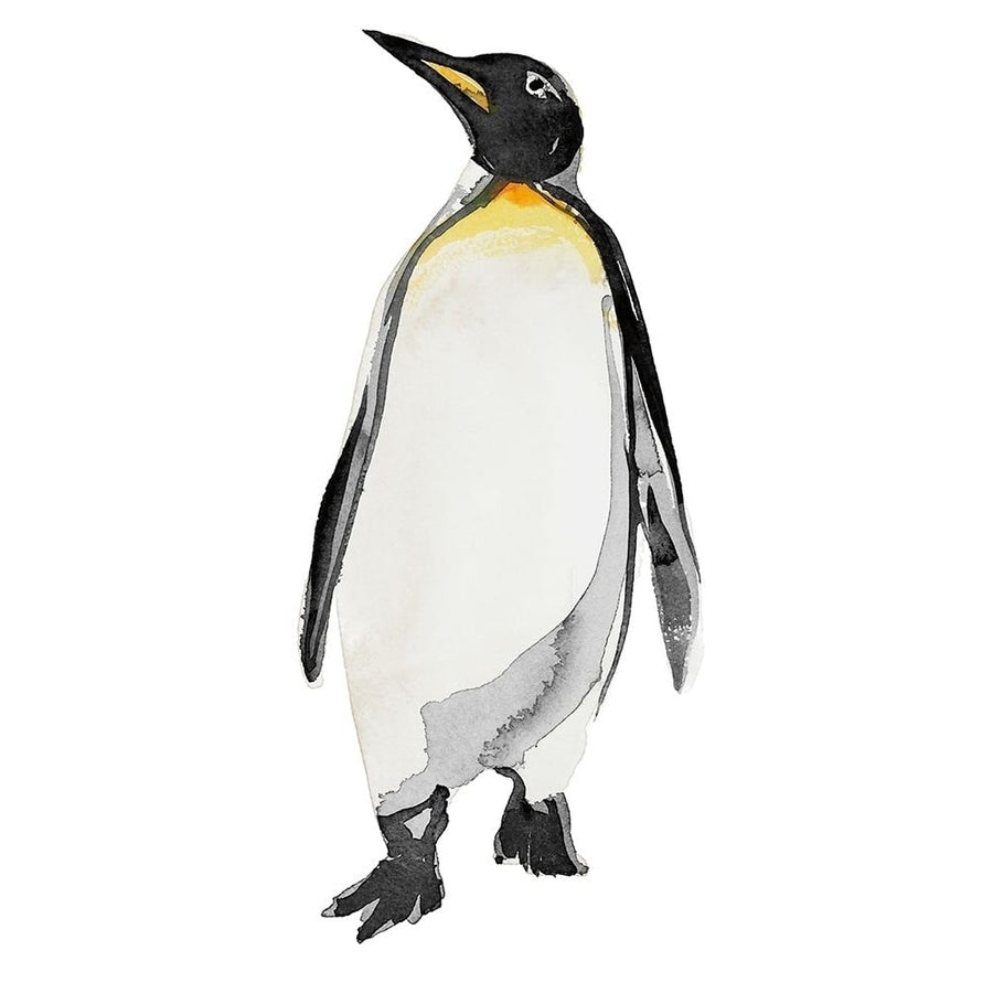 Penguin I Poster Print by Marina Billinghurst-VARPDXPOD60630 Image 1