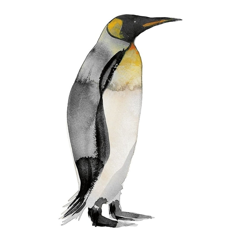 Penguin IV Poster Print by Marina Billinghurst-VARPDXPOD60633 Image 1