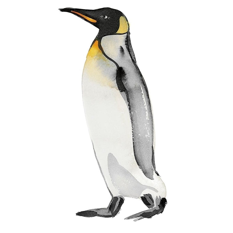 Penguin II Poster Print by Marina Billinghurst-VARPDXPOD60631 Image 1