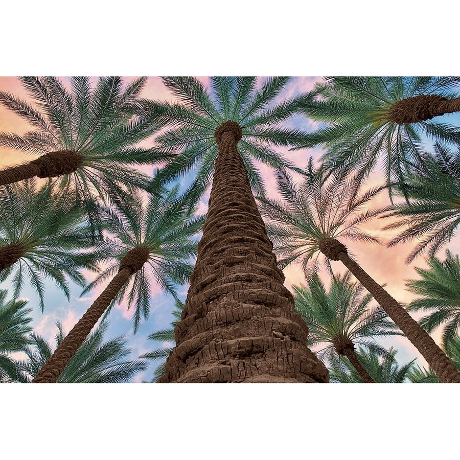 Tropical Views Poster Print by Dennis Frates-VARPDXPOD60673 Image 1