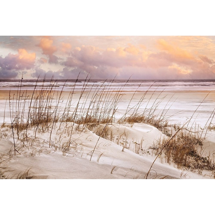 Whispers In the Dunes Poster Print by Celebrate Life Gallery Celebrate Life Gallery-VARPDXPOD60739 Image 1