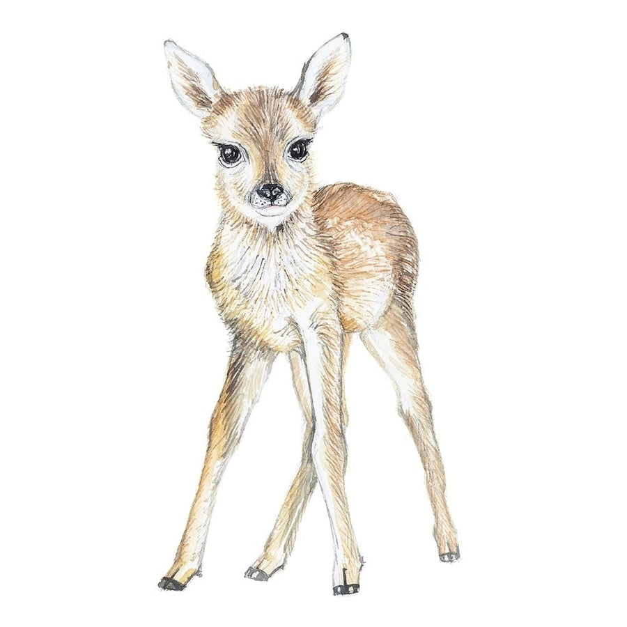 Baby Deer Poster Print by Elena Markelova-VARPDXPOD60794 Image 1