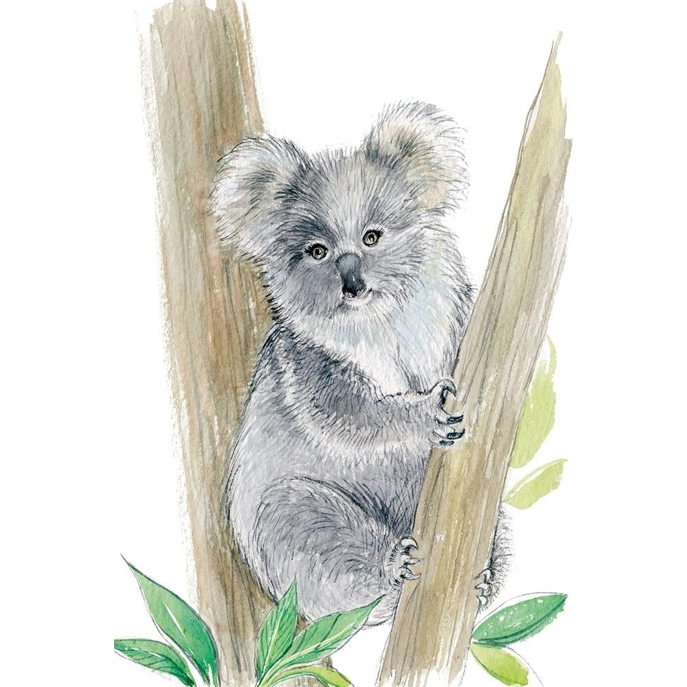 Baby Koala Poster Print by Elena Markelova-VARPDXPOD60800 Image 1