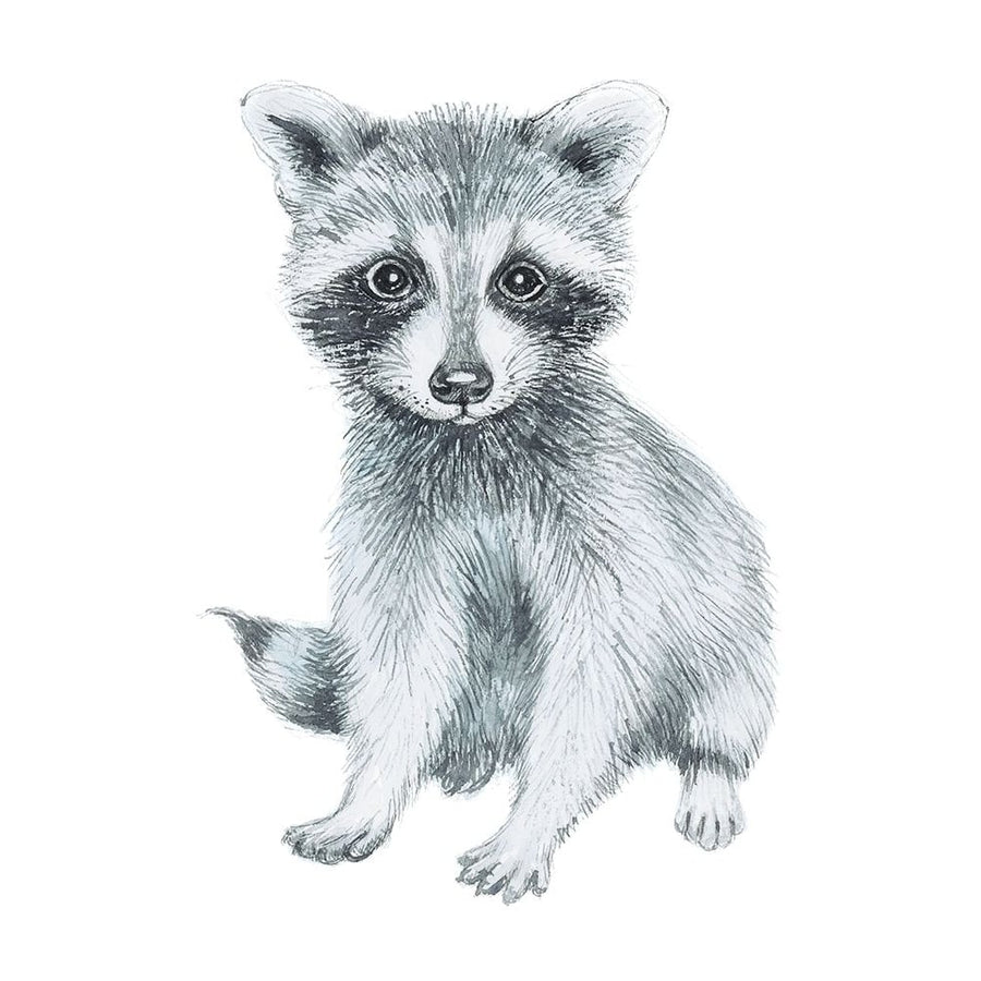 Baby Raccoon Poster Print by Elena Markelova-VARPDXPOD60795 Image 1