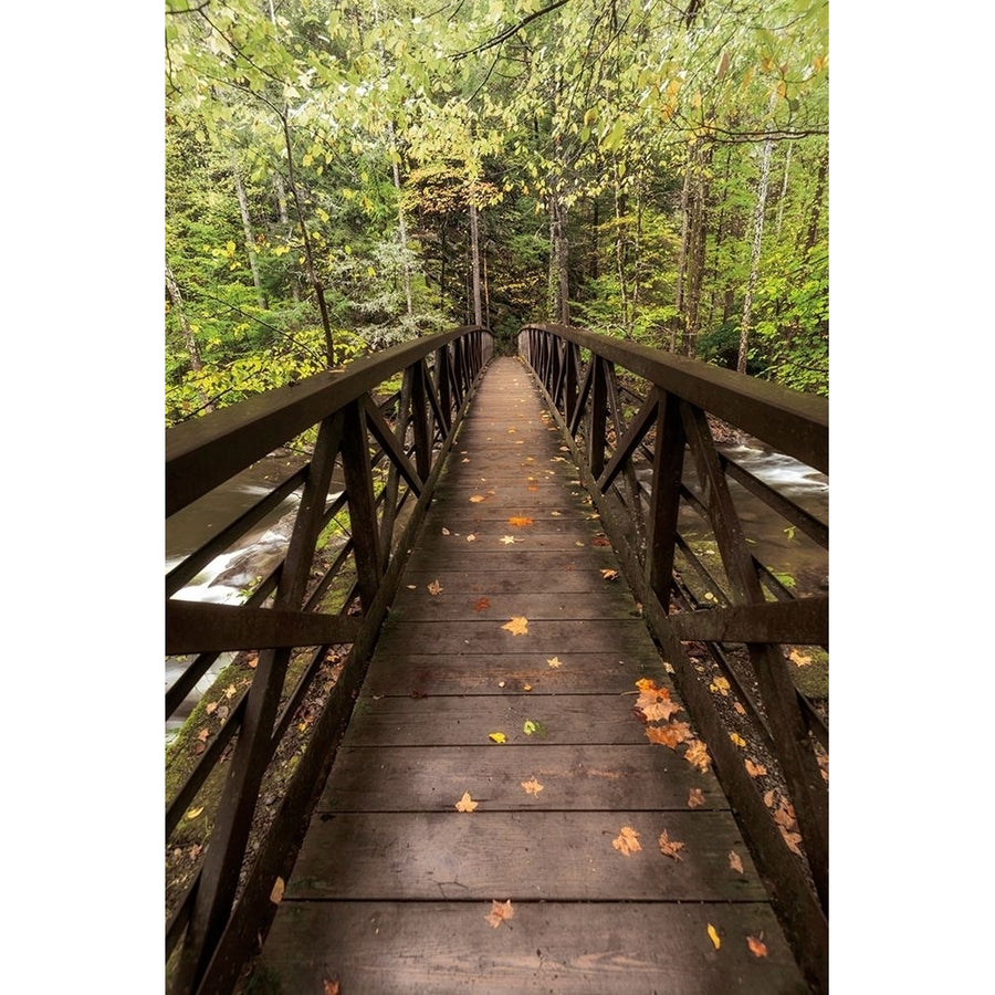 Autumns Bridge Poster Print by D. Burt-VARPDXPOD60935 Image 1