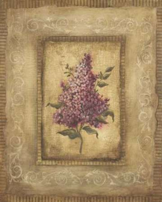 Savin Lilac Poster Print by Kimberly Poloson-VARPDXPOL021 Image 1