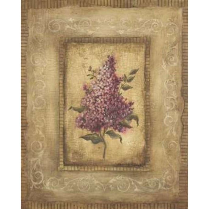 Savin Lilac Poster Print by Kimberly Poloson-VARPDXPOL021 Image 1