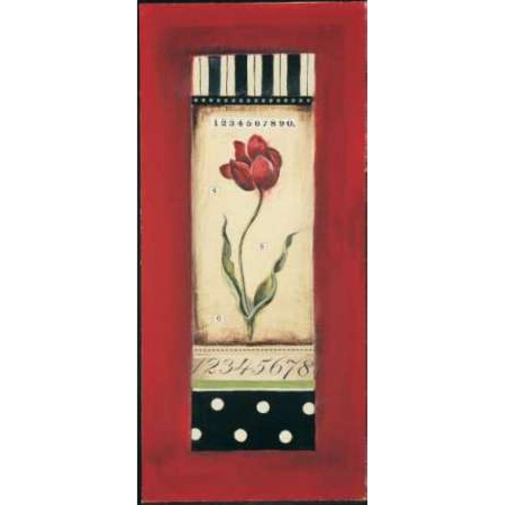 Belgian Tulip II Poster Print by Kimberly Poloson-VARPDXPOL094 Image 1