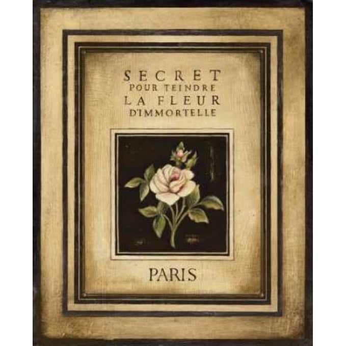 Les Fleurs de Paris I Poster Print by Kimberly Poloson-VARPDXPOL134 Image 2