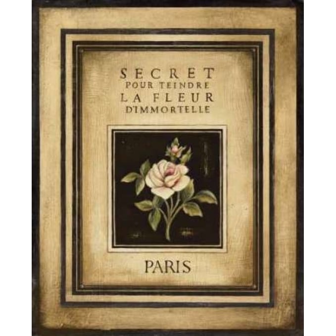 Les Fleurs de Paris I Poster Print by Kimberly Poloson-VARPDXPOL134 Image 1