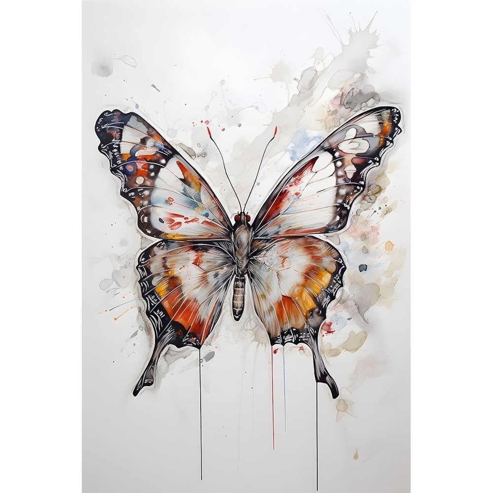 Butterfly Splash 1 Poster Print - Prints Design Petals-VARPDXPPD0169 Image 1