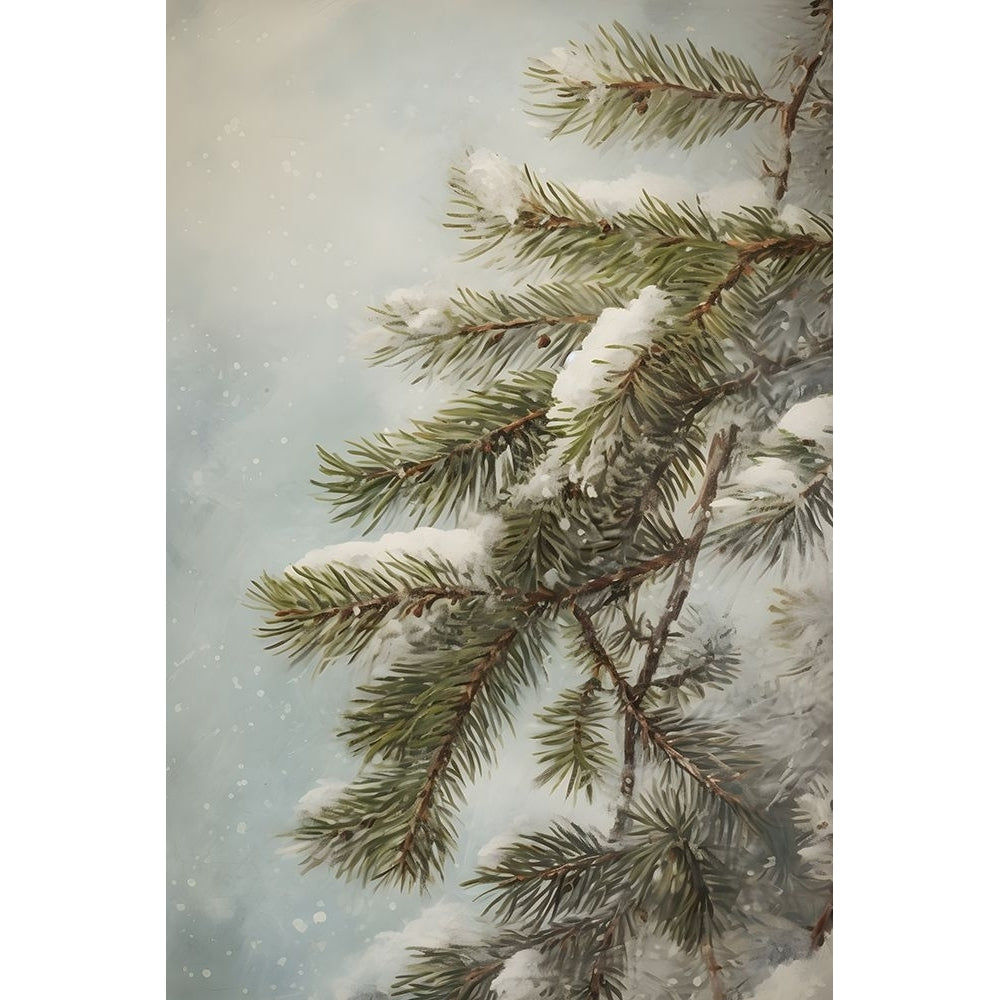 Evergreen Needles w Snow Poster Print - Prints Design Petals-VARPDXPPD0398 Image 1