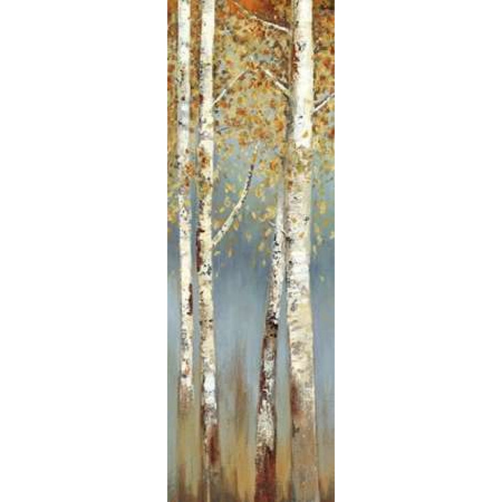 Butterscotch Birch Trees I Poster Print by Allison Pearce-VARPDXPRS12 Image 1