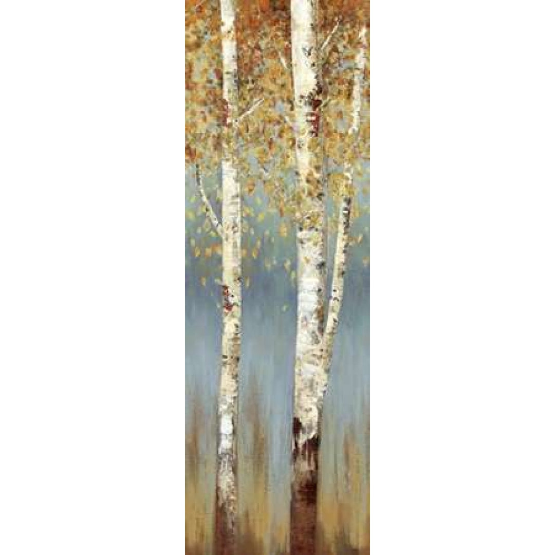 Butterscotch Birch Trees II Poster Print by Allison Pearce-VARPDXPRS13 Image 1