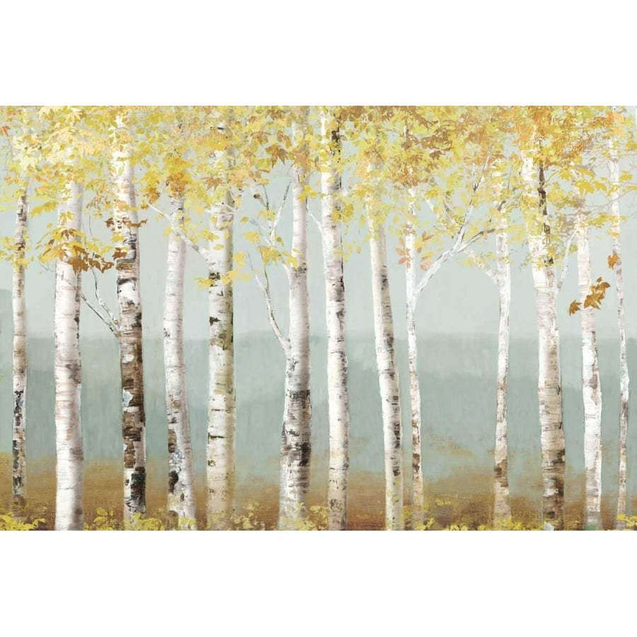 Soft Birch Poster Print by Allison Pearce-VARPDXPS063A Image 1