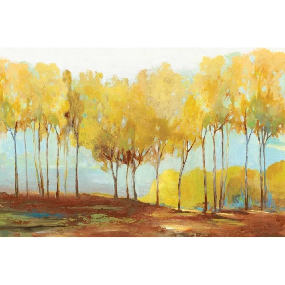 Yellow trees Poster Print by Allison Pearce-VARPDXPS103A Image 1