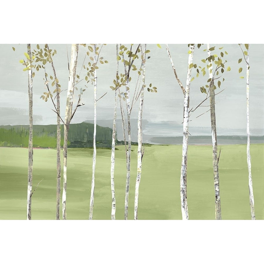 Birch Valley Poster Print by Allison Pearce-VARPDXPS317A Image 1