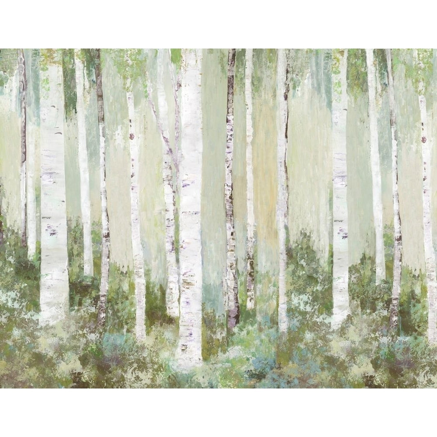 Tranquil Forest Poster Print by Allison Pearce-VARPDXPS332A Image 1