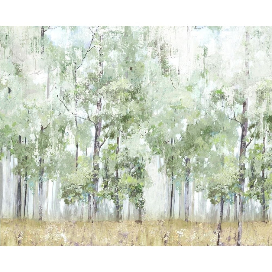 Into the Forest Light Poster Print by Allison Pearce-VARPDXPS349A Image 1