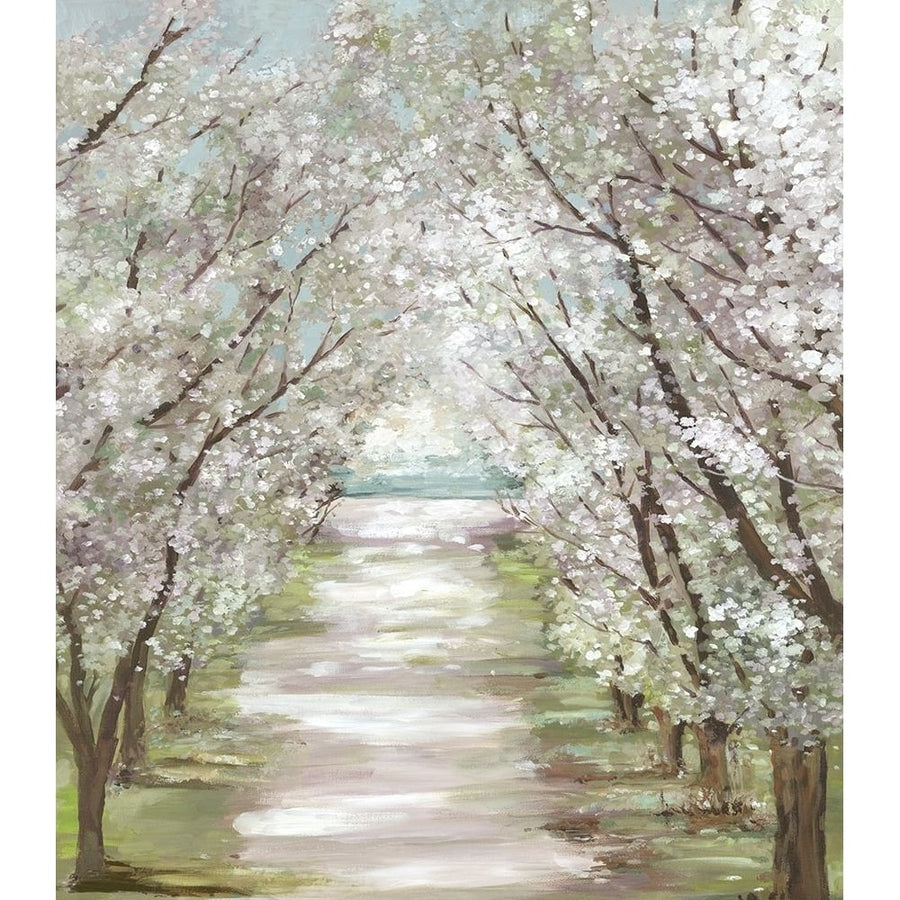 Blossom Pathway by Allison Pearce-VARPDXPS354A Image 1