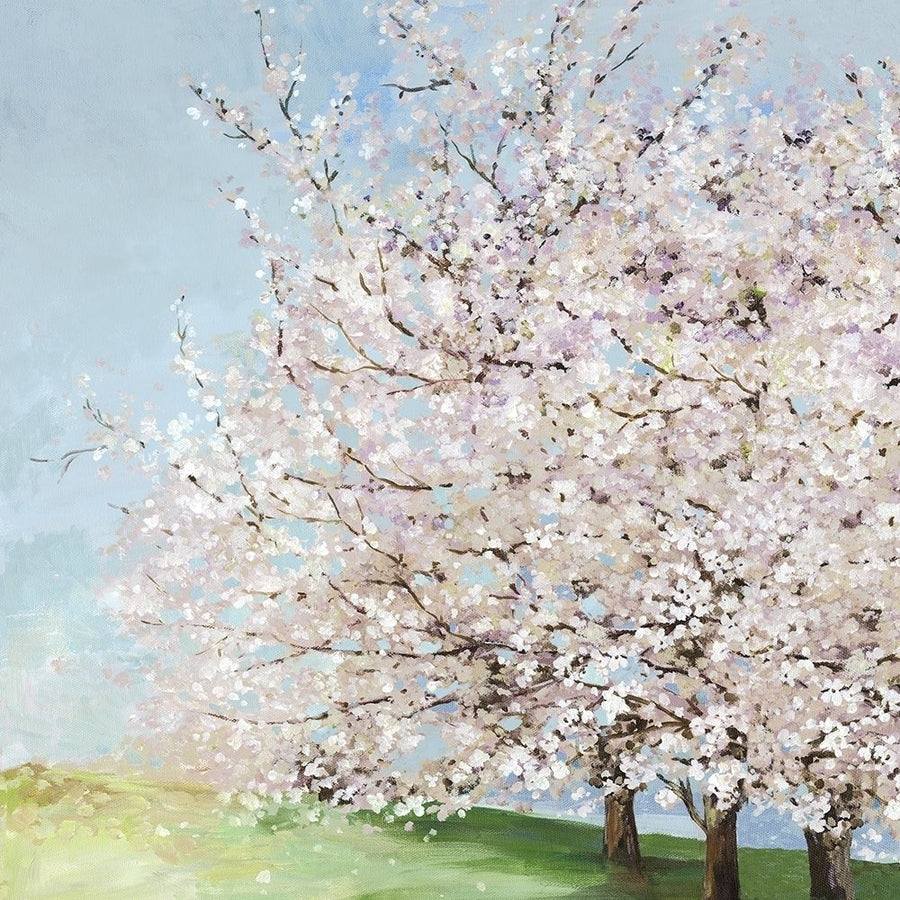 Blossom Orchard by Allison Pearce-VARPDXPS355A Image 1