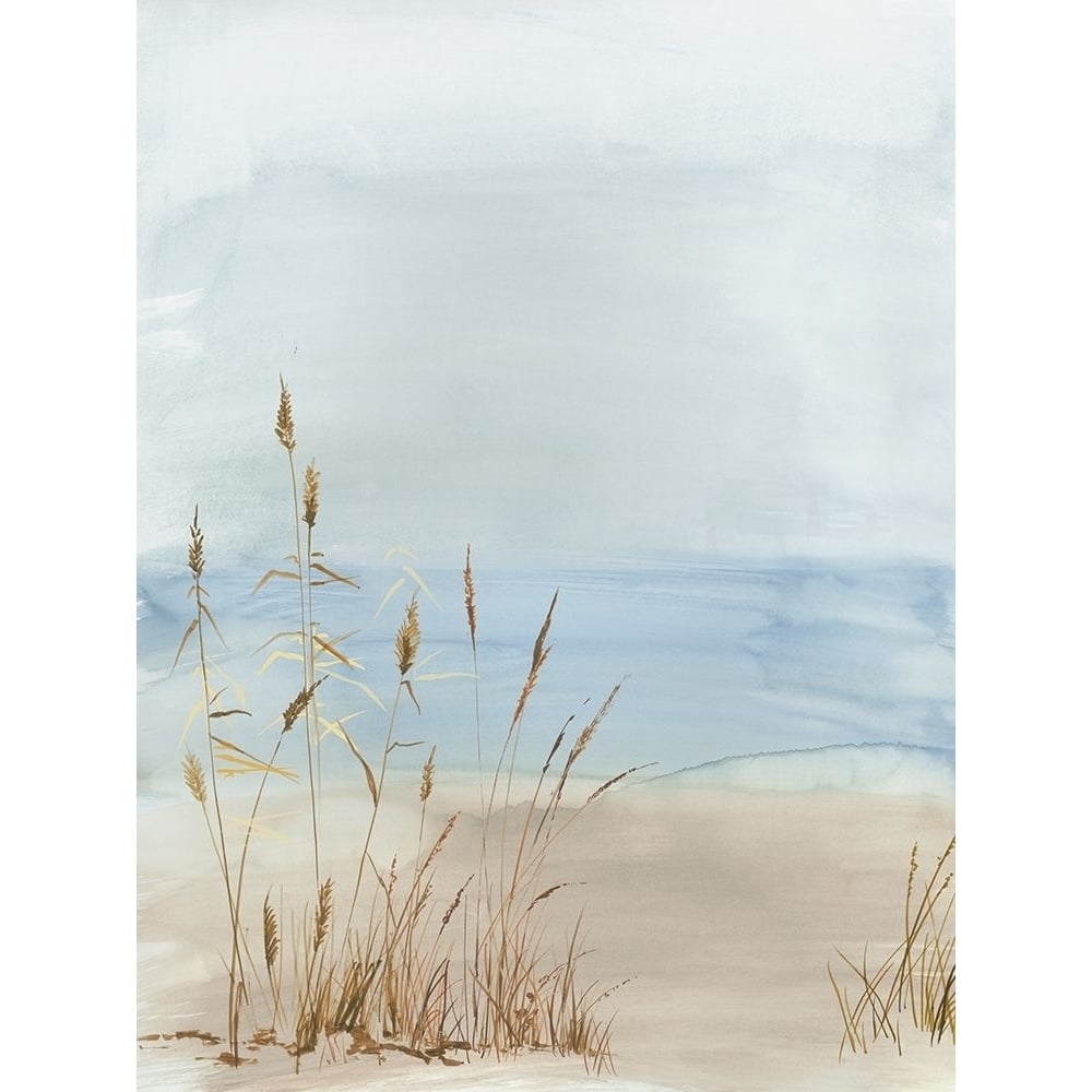 Soft Beach Grass II by Allison Pearce-VARPDXPS377A Image 1