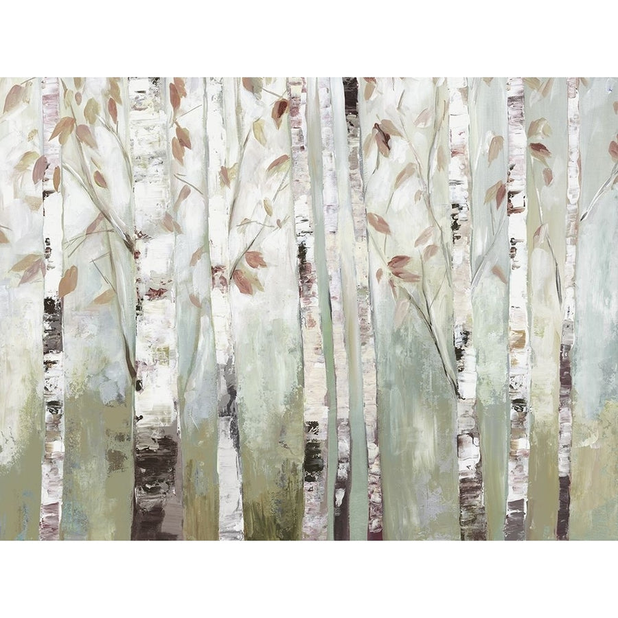 White Birch Forest Poster Print - Allison Pearce-VARPDXPS507A Image 1