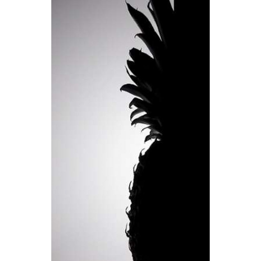 Pineapple Silhouette Poster Print by Monika Burkhart-VARPDXPSBHT148 Image 2