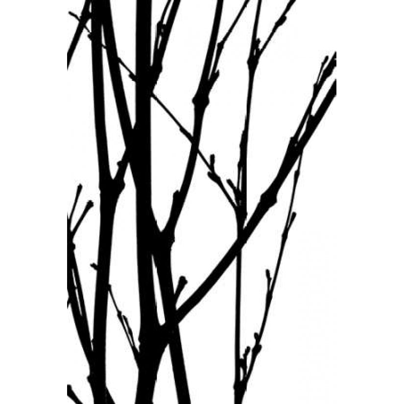 Branch Silhouette III Poster Print by Monika Burkhart-VARPDXPSBHT185 Image 2