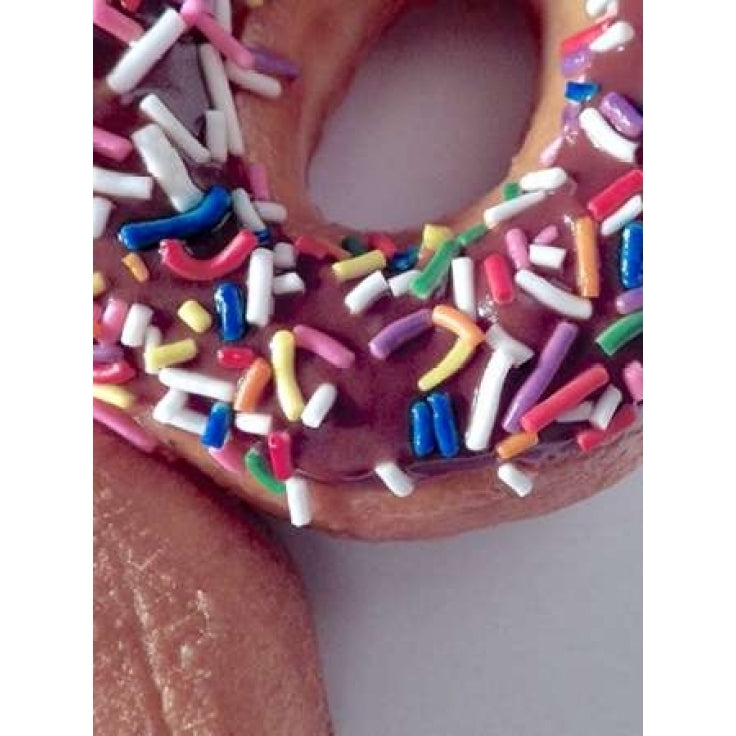 Classic Doughnut I Poster Print by Monika Burkhart-VARPDXPSBHT313 Image 1