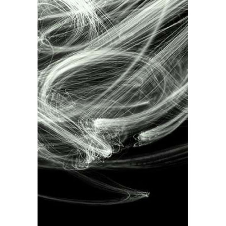 Impulse I Poster Print by Monika Burkhart-VARPDXPSBHT337 Image 1