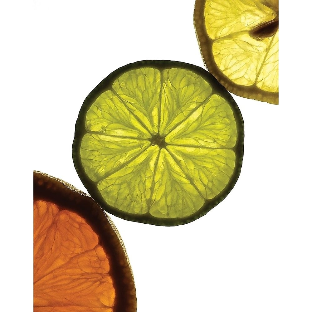 Sliced Fruit III Poster Print by Monika Burkhart-VARPDXPSBHT454 Image 1