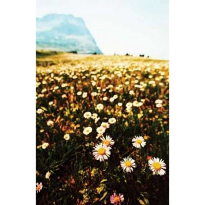 Mountain Summer I Poster Print by Erin Berzel-VARPDXPSBZL117 Image 1