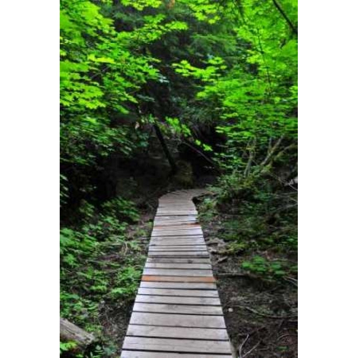 Afternoon Hike I Poster Print by Erin Berzel-VARPDXPSBZL194 Image 1