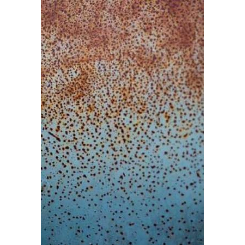 Rust on Antique Car I Poster Print by Erin Berzel-VARPDXPSBZL240 Image 2