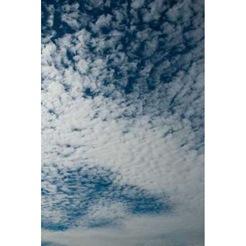 In the Clouds I Poster Print by Erin Berzel-VARPDXPSBZL404 Image 2