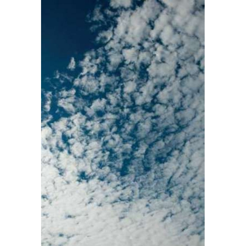 In the Clouds II Poster Print by Erin Berzel-VARPDXPSBZL405 Image 2