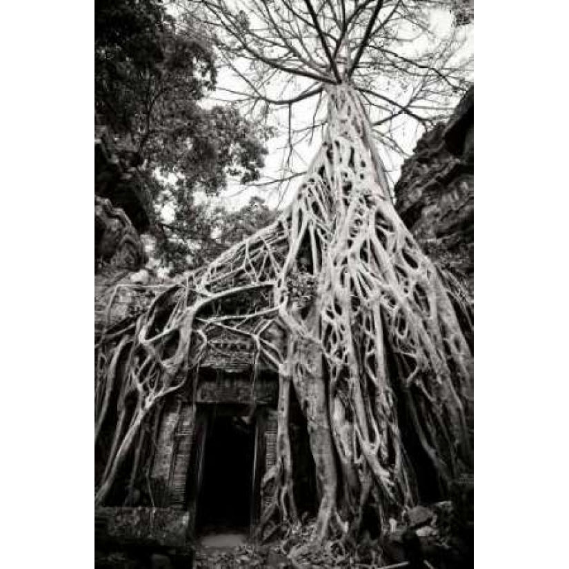 Doorway and Roots I Poster Print by Erin Berzel-VARPDXPSBZL676 Image 1