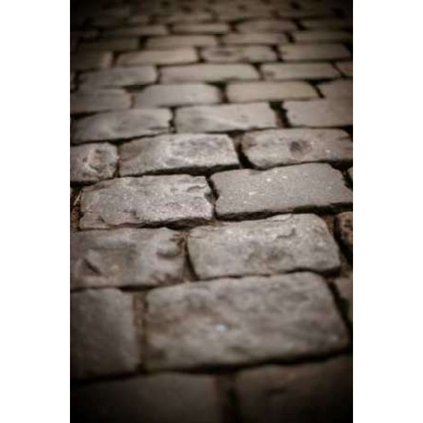 Stone Path IV Poster Print by Erin Berzel-VARPDXPSBZL739 Image 1