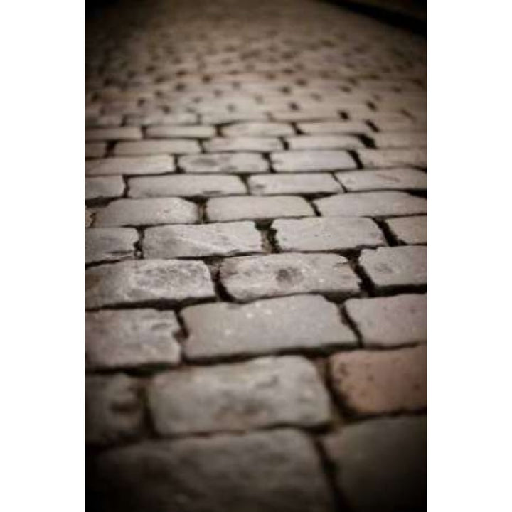 Stone Path III Poster Print by Erin Berzel-VARPDXPSBZL738 Image 1