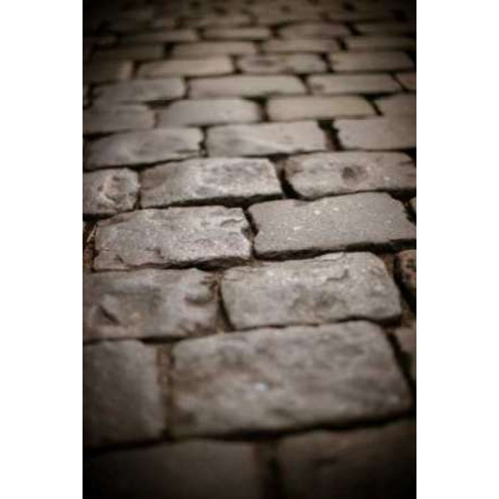 Stone Path IV Poster Print by Erin Berzel-VARPDXPSBZL739 Image 2