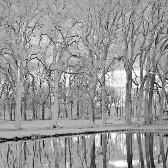 Along the Canal Poster Print by Rita Crane-VARPDXPSCRN151 Image 1