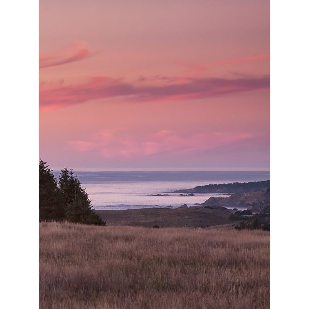 Rosy Coastal Sunset I by Rita Crane-VARPDXPSCRN609 Image 1