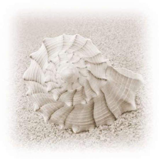 In the Sand I Poster Print by Jim Christensen-VARPDXPSCRS208 Image 1