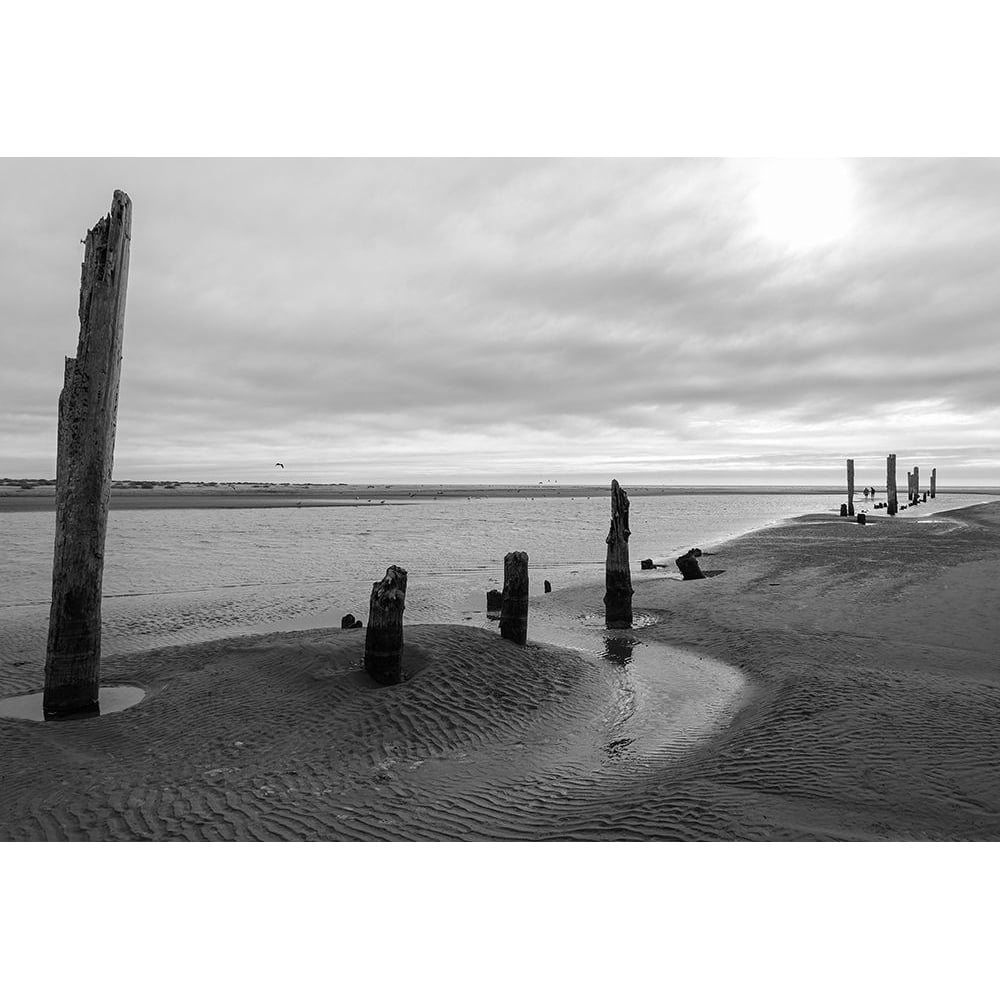 Pacific Beach BW Poster Print by Stan Hellmann-VARPDXPSHEL160 Image 1