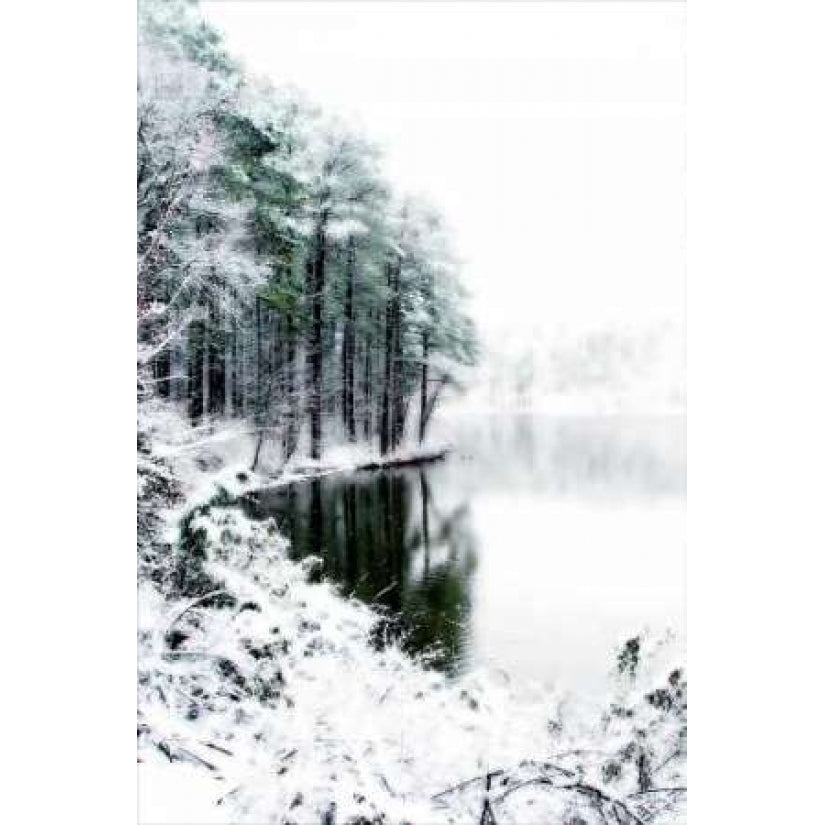 Shelly Lake in Winter II Poster Print by Alan Hausenflock-VARPDXPSHSF109 Image 1