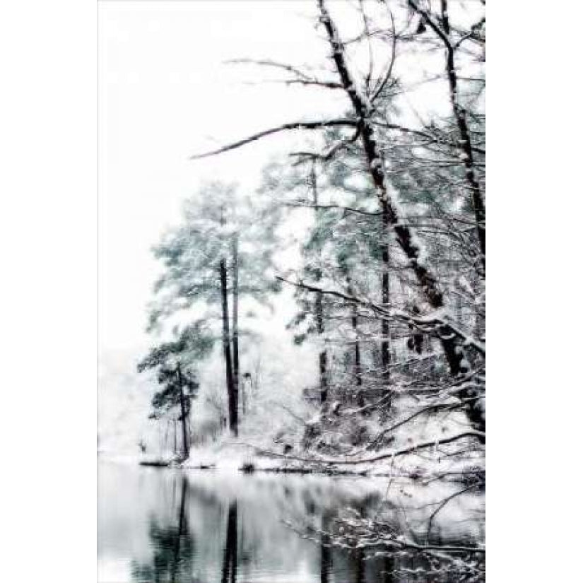 Shelly Lake in Winter I Poster Print by Alan Hausenflock-VARPDXPSHSF108 Image 1