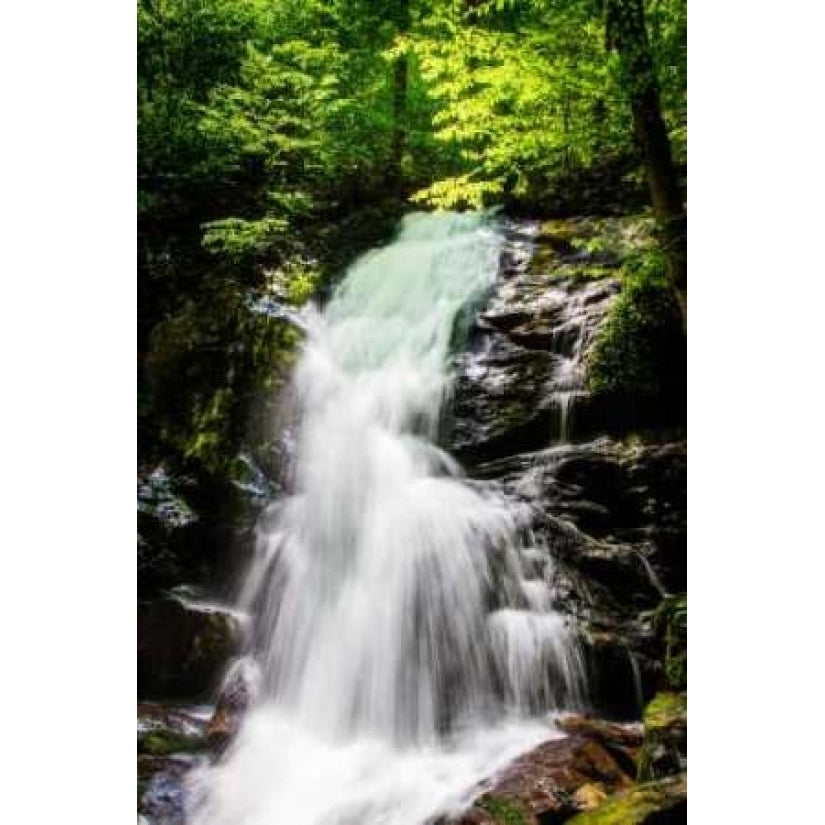 Deep Woods Waterfall II Poster Print by Alan Hausenflock-VARPDXPSHSF1370 Image 1