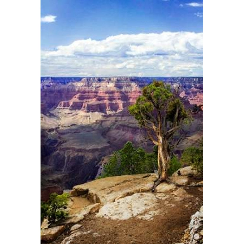 The Canyon Rim I Poster Print by Alan Hausenflock-VARPDXPSHSF1475 Image 1