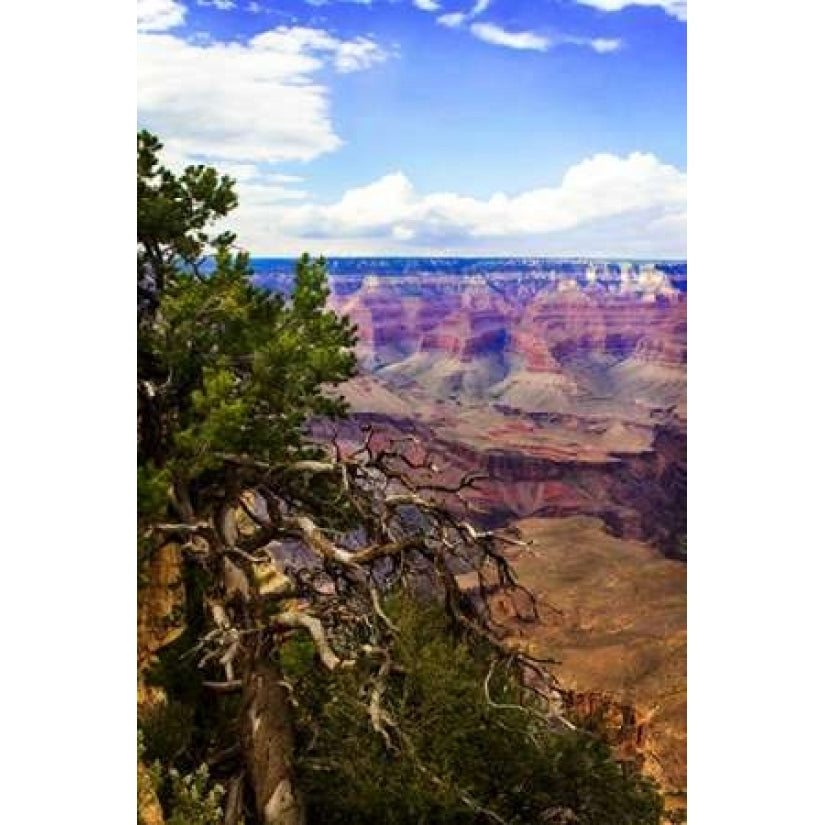 The Canyon Rim II Poster Print by Alan Hausenflock-VARPDXPSHSF1476 Image 1